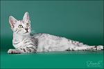     
: IMG_8895.jpg
: 20
:	97.1 
ID:	5390467