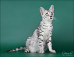     
: IMG_8893.jpg
: 22
:	102.2 
ID:	5390468