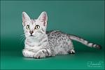     
: IMG_8897.jpg
: 56
:	103.7 
ID:	5390474