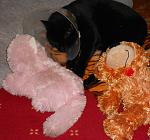     
: DSCN1822.jpg
: 7
:	133.1 
ID:	5392214
