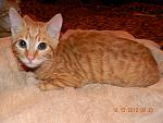     
: DSCN1932.jpg
: 10
:	172.7 
ID:	5392581