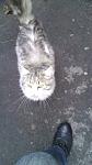     
: IMAG1173.jpg
: 25
:	73.0 
ID:	5395566