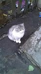     
: IMAG1177.jpg
: 27
:	83.7 
ID:	5395569