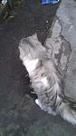     
: IMAG1170.jpg
: 20
:	75.9 
ID:	5395570
