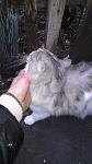     
: IMAG1172.jpg
: 23
:	77.1 
ID:	5395571