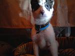     
: Фото0333.jpg
: 4
:	82.5 
ID:	5395866