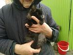     
: кися1.jpg
: 12
:	145.9 
ID:	5395907