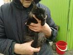     
: кися2.jpg
: 18
:	146.2 
ID:	5395911