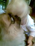     
: 7-10-12 013.jpg
: 33
:	51.0 
ID:	5397865