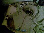     
: 11-11-12 001.jpg
: 6
:	76.3 
ID:	5397866