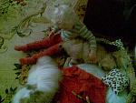     
: 14-12-12 030.jpg
: 8
:	80.2 
ID:	5397869