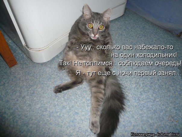     
: eYWqEpgxCBE.jpg
: 1
:	65.2 
ID:	5398841