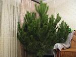     
: IMG_0923.jpg
: 121
:	185.9 
ID:	5402118