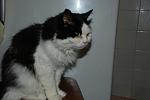     
: DSC_1933 - Copy.jpg
: 58
:	63.1 
ID:	5403404