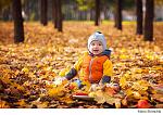     
: NqeLQwZ0uKQ.jpg
: 7
:	163.6 
ID:	5404077