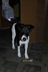    
: Zb9d9bN3qQs.jpg
: 19
:	79.5 
ID:	5405285