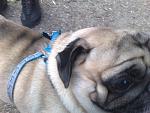     
: 11102009356.jpg
: 24
:	121.8 
ID:	540648