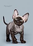     
: SYD_6548_800.jpg
: 8
:	213.7 
ID:	5407177