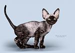     
: SYD_6504_800.jpg
: 7
:	203.8 
ID:	5407179