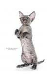     
: SYD_6652_800.jpg
: 9
:	143.9 
ID:	5407188