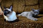     
: DSC_7713.jpg
: 10
:	162.4 
ID:	5408709