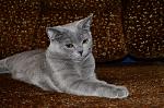     
: DSC_7724.jpg
: 12
:	152.3 
ID:	5408710