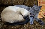     
: DSC_7709.jpg
: 8
:	171.1 
ID:	5408712