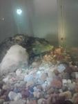     
: P011112_20_39__01_.jpg
: 15
:	59.6 
ID:	5415972