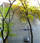     
: picture1.jpg
: 23
:	242.3 
ID:	5416019