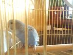     
: DSC00417.jpg
: 15
:	106.6 
ID:	5416441