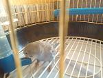     
: DSC00415.jpg
: 11
:	131.6 
ID:	5416443