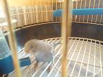     
: DSC00414.jpg
: 15
:	115.2 
ID:	5416444