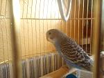     
: DSC00409.jpg
: 13
:	123.3 
ID:	5416446