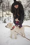     
: SQ9d9DAJTHQ.jpg
: 7
:	96.5 
ID:	5416828
