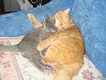     
: DSC00820.jpg
: 10
:	168.4 
ID:	5418474