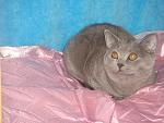     
: DSC01117.jpg
: 8
:	175.3 
ID:	5418477