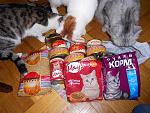    
: DSCN0098.jpg
: 6
:	227.0 
ID:	5418823