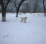     
: ZNrWq5sKDBQ.jpg
: 22
:	173.6 
ID:	5420482