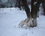     
: SXrZ8VvMa60.jpg
: 17
:	240.3 
ID:	5420483