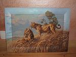     
: DSCF2137.jpg
: 13
:	191.6 
ID:	5421500