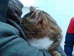     
: DSC060231.JPG
: 7
:	176.7 
ID:	5422932