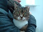     
: DSC060271.JPG
: 5
:	198.9 
ID:	5422933