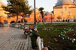     
: DSC_9784.jpg
: 2
:	258.4 
ID:	5423253