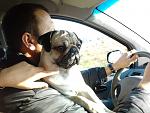     
: Фото0760.jpg
: 10
:	128.2 
ID:	5423340