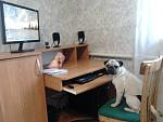     
: Фото0778.jpg
: 9
:	114.3 
ID:	5423408