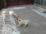     
: Фото0779.jpg
: 13
:	130.7 
ID:	5423426