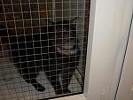     
: CIMG0060.jpg
: 7
:	105.5 
ID:	5424654