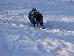     
: DSC00154.jpg
: 8
:	99.9 
ID:	5425751