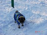     
: DSC00146.jpg
: 10
:	117.8 
ID:	5425752