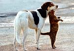     
: 1255544571_pic-51.jpg
: 30
:	55.7 
ID:	542660